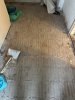 IMG_0418 2 Medium.jpeg