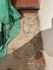 IMG_0432 Medium.jpeg