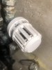 IMG_3082.jpeg