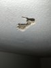 IMG_2221.jpeg
