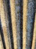 IMG_20240119_155421.jpg