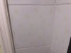 IMG_8153.jpeg