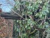 IMG_8885-compressed.jpeg
