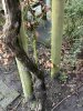 IMG_8886-compressed.jpeg