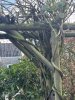 IMG_8888-compressed.jpeg