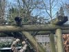 IMG_8887-compressed.jpeg