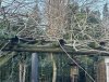 IMG_8884-compressed.jpeg