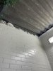 IMG_4473.jpeg