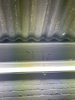 IMG_4475.jpeg