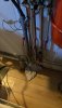 IMG_4194.jpeg
