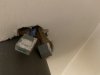 IMG_2267.jpeg
