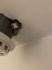 IMG_2265.jpeg