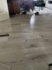 IMG_7636.jpeg IMG_7636.jpeg