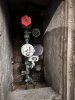 IMG_7640.jpeg