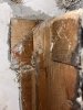 IMG_0674.jpeg