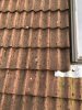 IMG_8262.jpeg