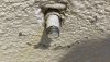 IMG_6120.jpeg