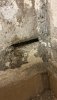 507C2119-93E5-48FF-85DB-4D18BC7934C9.jpeg 507C2119-93E5-48FF-85DB-4D18BC7934C9.jpeg