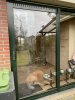 IMG_2382.jpeg