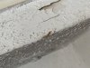 IMG_0236.jpeg