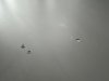 IMG_4931.jpeg