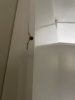 IMG_1718.jpeg