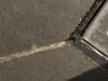 IMG_6495.jpeg