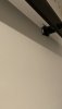 IMG_2025.jpeg