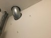 IMG_3363.jpeg