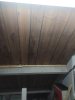 IMG_20201109_173021.jpg