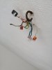 IMG_20201113_144224.jpg