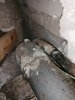 IMG_20201119_121828.jpg