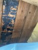 IMG_9436.jpeg