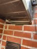 IMG_9421.jpeg