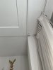 IMG_4543.jpeg