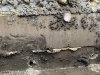 IMG_0216.jpeg