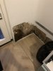 IMG_0157.jpeg