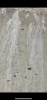 IMG_5816.png