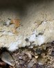 IMG_5815.jpeg