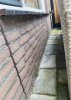 IMG_7275.jpeg