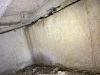 IMG_7278.png