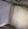 IMG_7276.jpeg