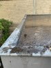 IMG_4686.JPEG