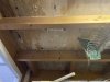 IMG_4694.JPEG