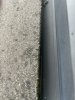 IMG_1612.JPEG IMG_1612.JPEG
