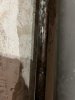 IMG_4134.jpeg