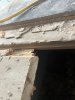 IMG_3021.jpeg