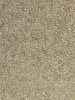 IMG_6726.jpeg IMG_6726.jpeg