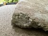 IMG_6729.jpeg IMG_6729.jpeg