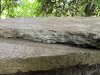 IMG_6727.jpeg IMG_6727.jpeg